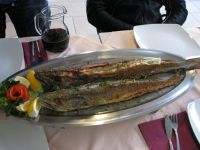 Bild_08